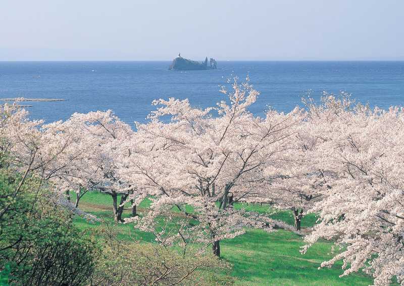 愛宕山公園 tabico