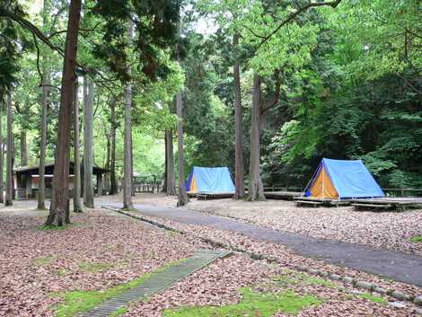 宮島包ヶ浦自然公園キャンプ場 宮島包ヶ浦自然公園キャンプ場の画像