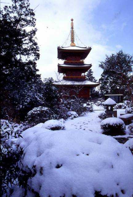 豊前国分寺三重塔 tabico