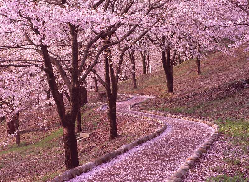 村松公園 Tabico