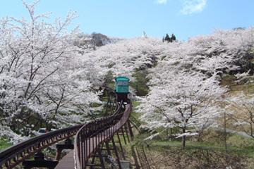 船岡城址公園 tabico