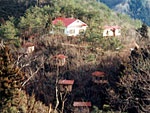 国際キャンプ村　水穂之国大自然国立公園の画像