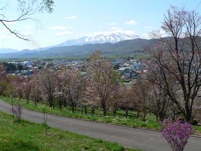 上川公園の画像