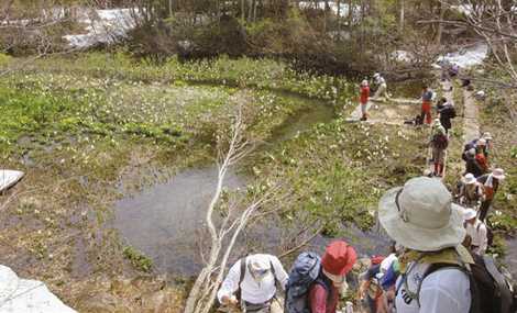 山形県立自然博物園 山形 博物館 美術館 科学館 の施設情報 いつもnavi