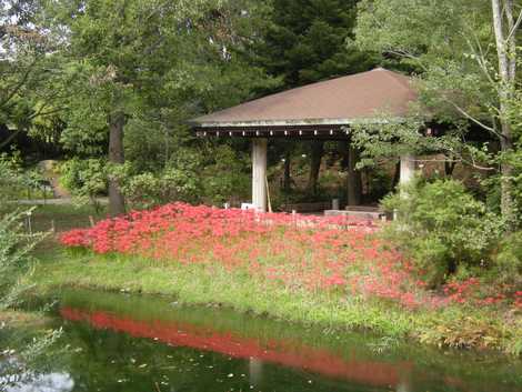 独立行政法人国立科学博物館筑波実験植物園 取手 つくば 植物園 の施設情報 いつもnavi