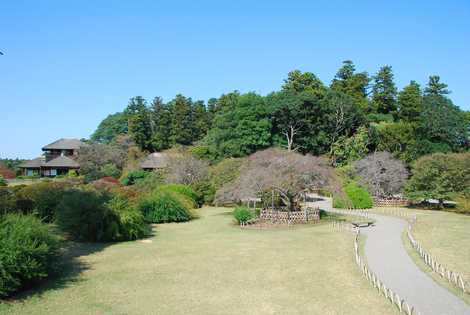 偕楽園 偕楽園の画像