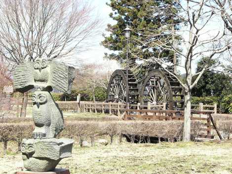 杉並木公園の画像