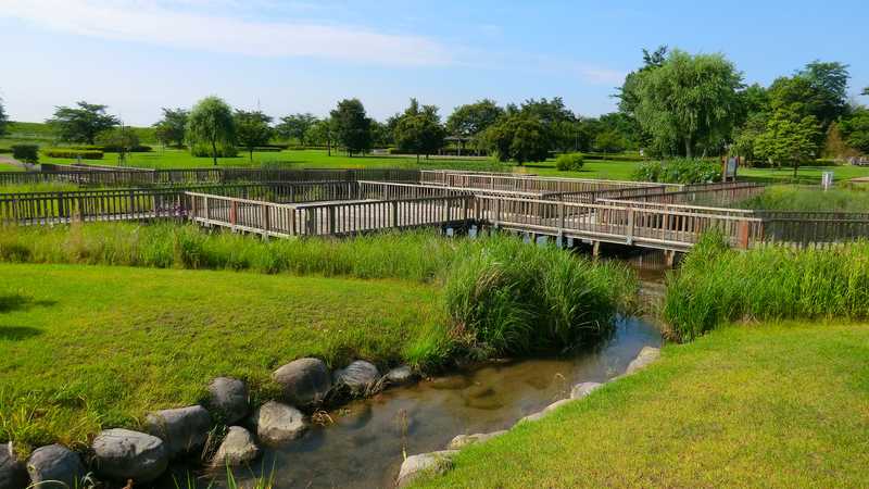 蓼沼緑地公園の画像