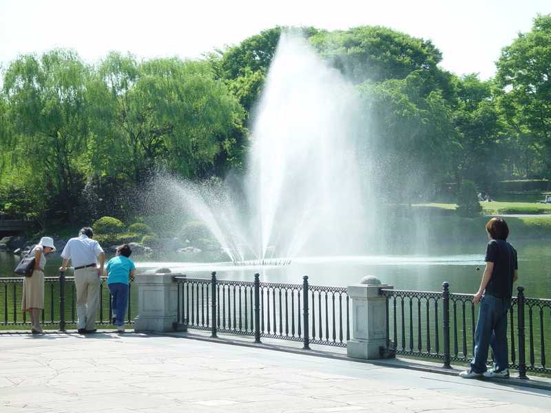 中央公園の画像