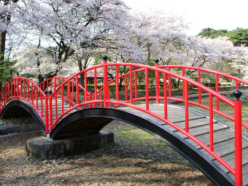 烏ケ森公園の画像