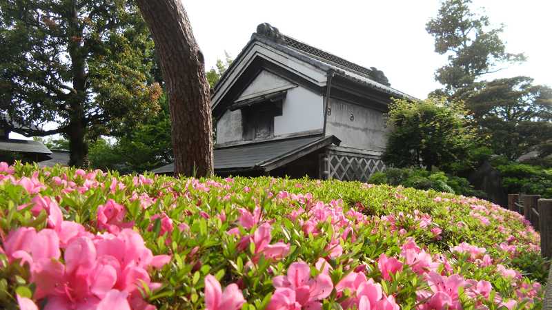 旧下田邸書院及び庭園の画像