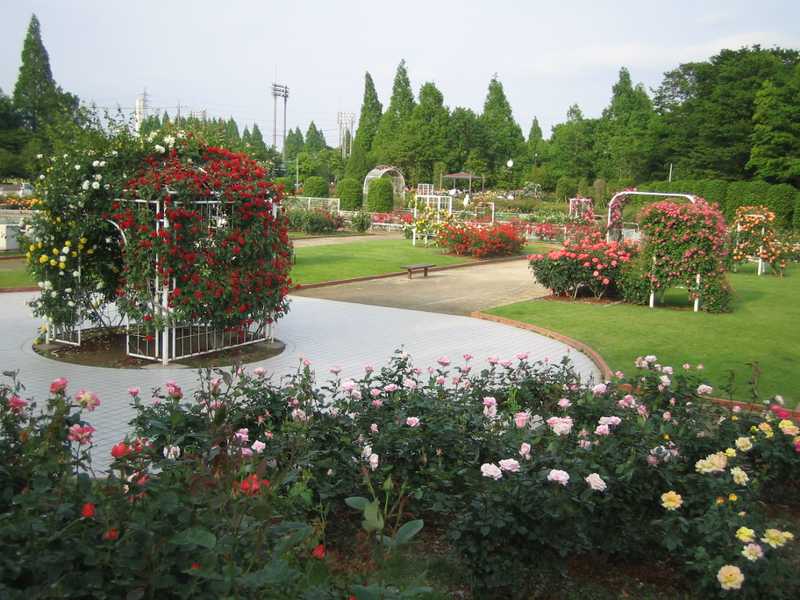 町制施行記念公園の画像