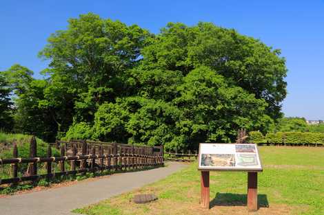 鉢形城公園の画像