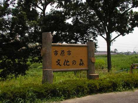 市原市文化の森 市原市文化の森の画像