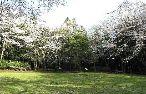 五本松公園の画像