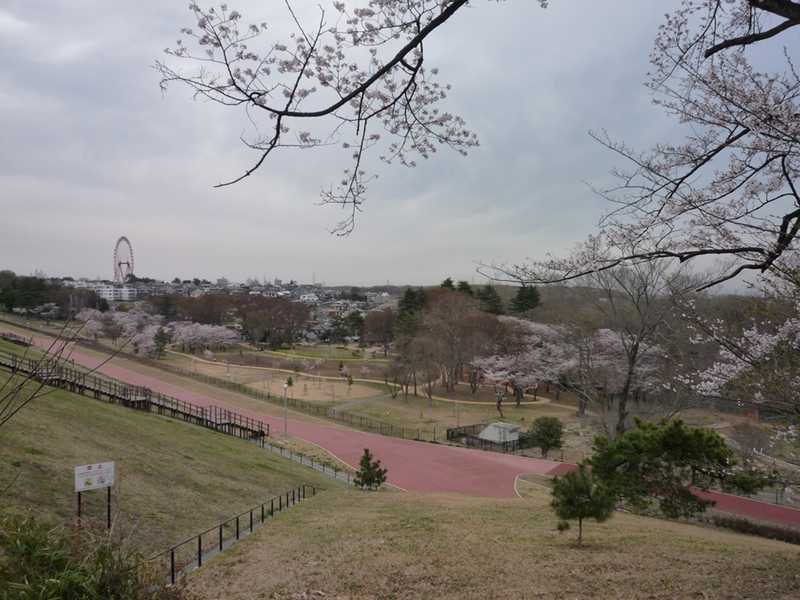 都立狭山自然公園の画像