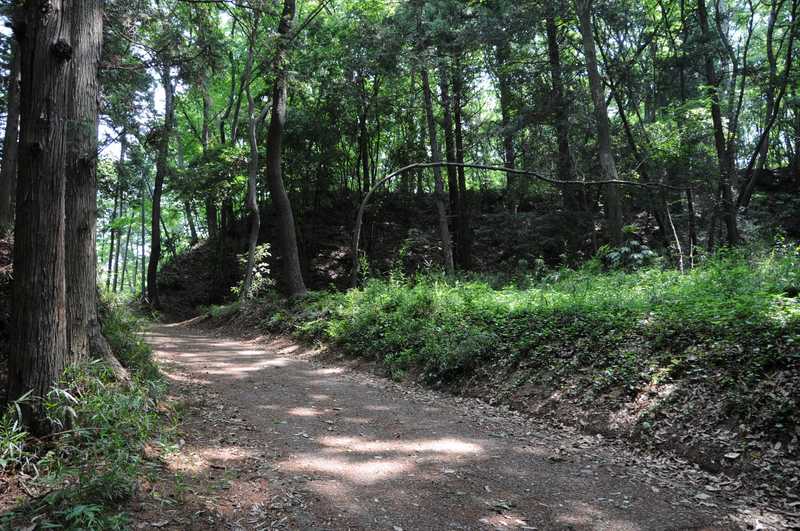 都立滝山自然公園の画像