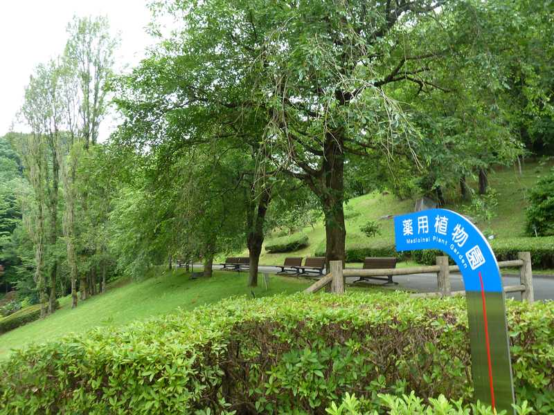 東京薬科大学薬用植物園の画像