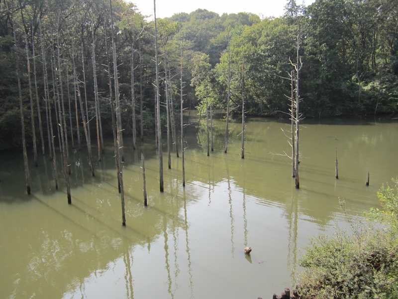 東京都立小山内裏公園の画像