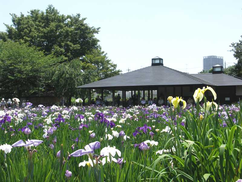 北山公園の画像