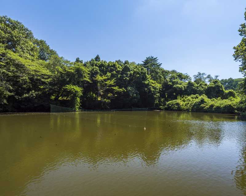 中沢池公園の画像