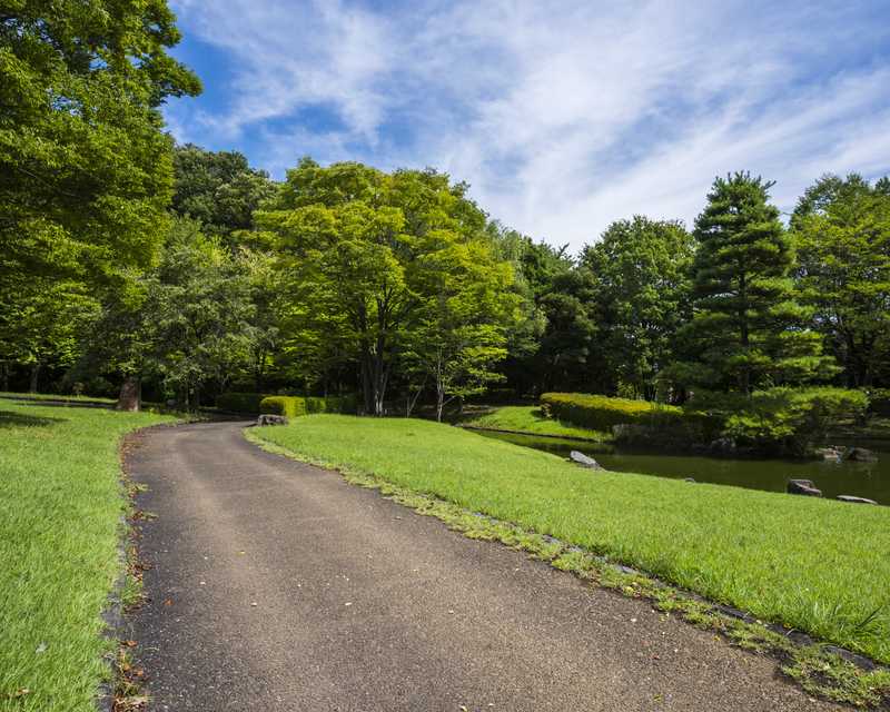 一本杉公園の画像