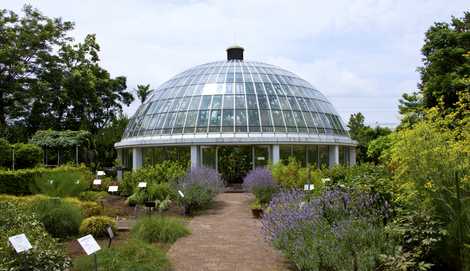 北里大学薬学部附属薬用植物園 本厚木 海老名 相模大野 植物園 の施設情報 いつもnavi