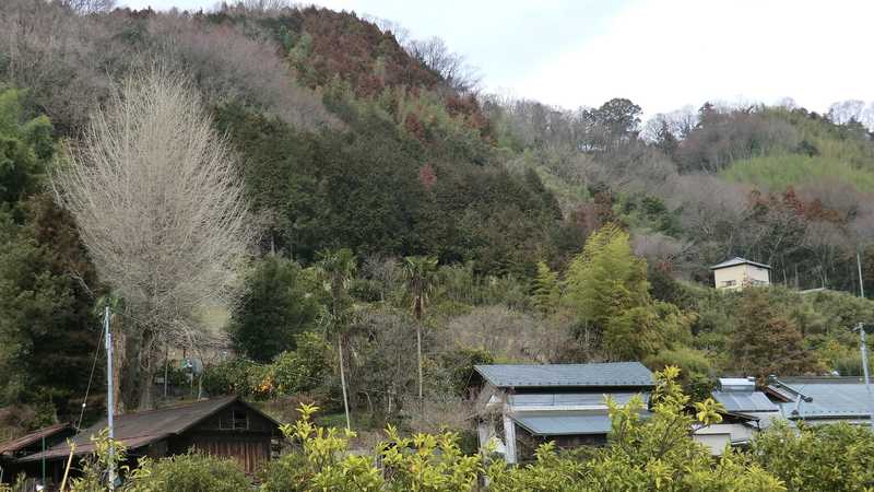 河村城址歴史公園(小田原)の施設情報｜ゼンリンいつもNAVI