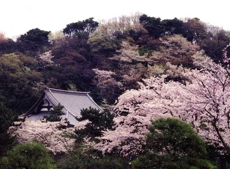 三渓園の画像