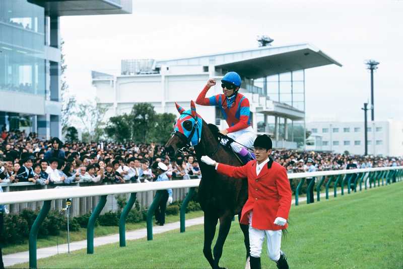 ＪＲＡ新潟競馬場の画像