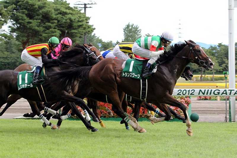JRA新潟競馬場(新潟・新津)の施設情報｜ゼンリンいつもNAVI