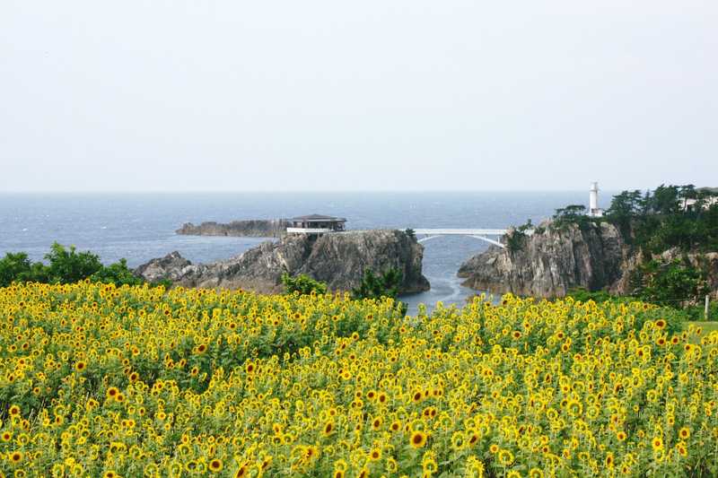 佐渡尖閣湾の画像