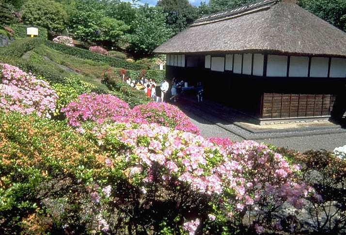 広見公園の画像