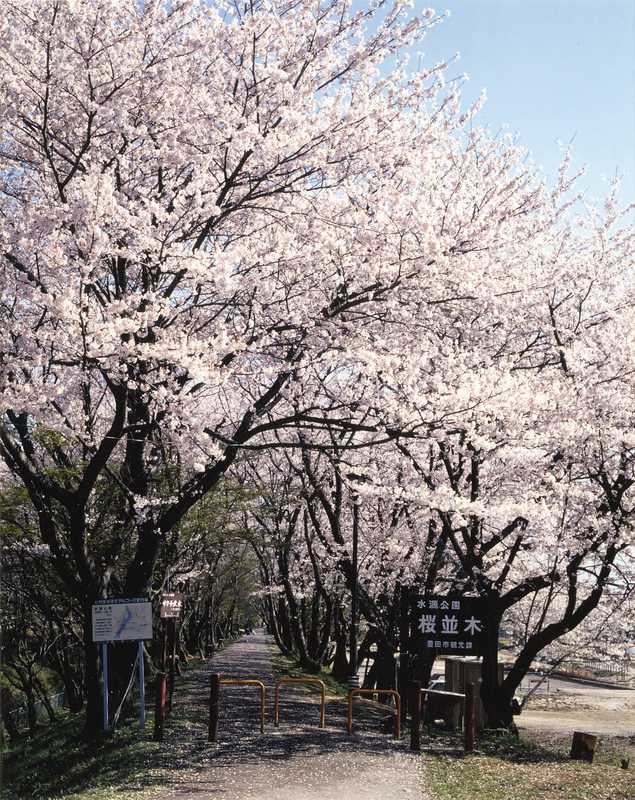 水源緑地の画像