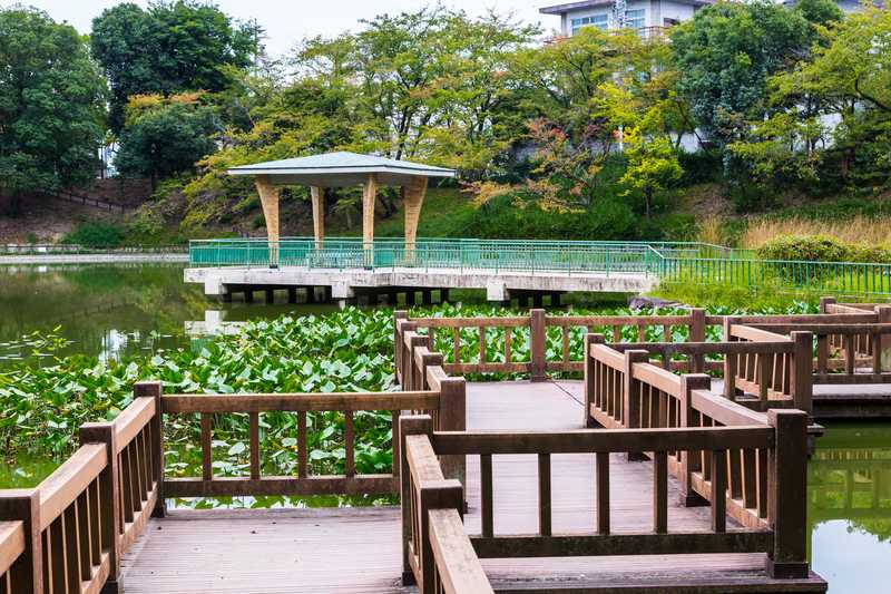 神丘公園の画像