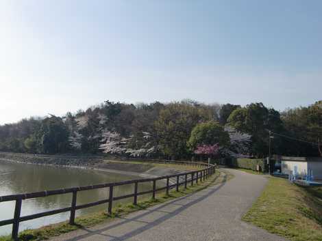 保田ヶ池公園の画像