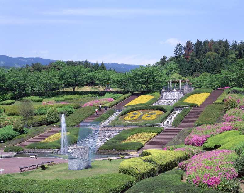 東青山四季のさとの画像