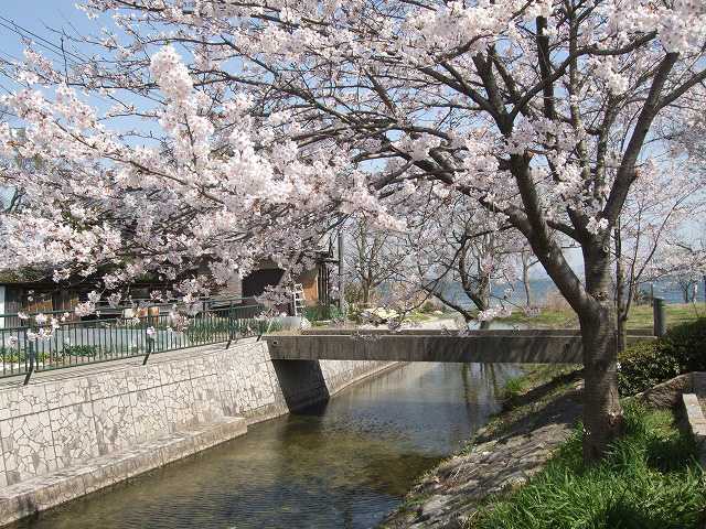 坂本城址の画像