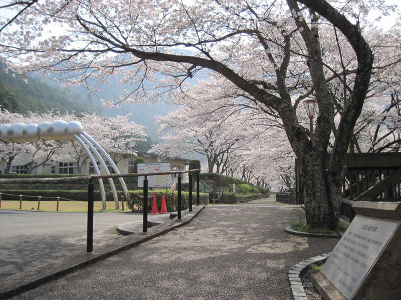 亀岡市七谷川野外活動センターの画像