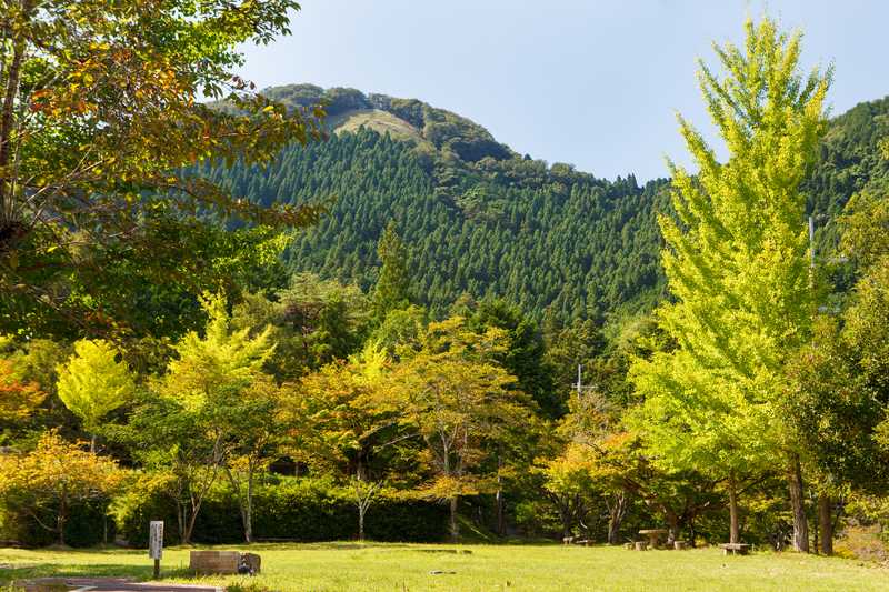 長安寺公園の画像