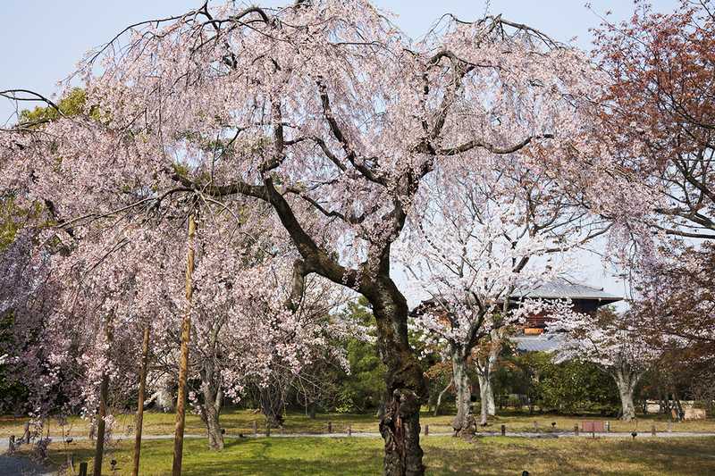 施設の画像