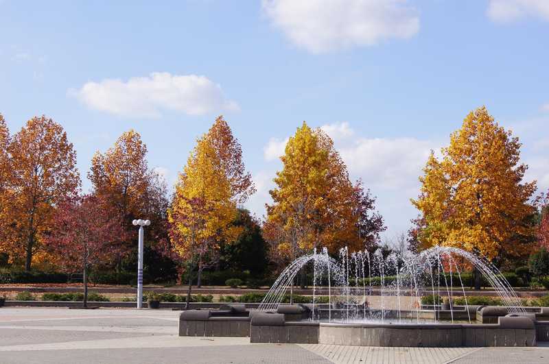 寺ケ池公園の画像