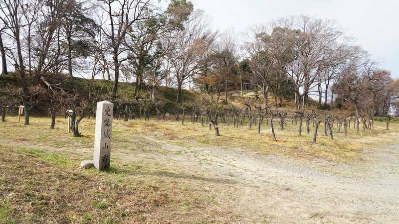 津堂城山古墳の画像