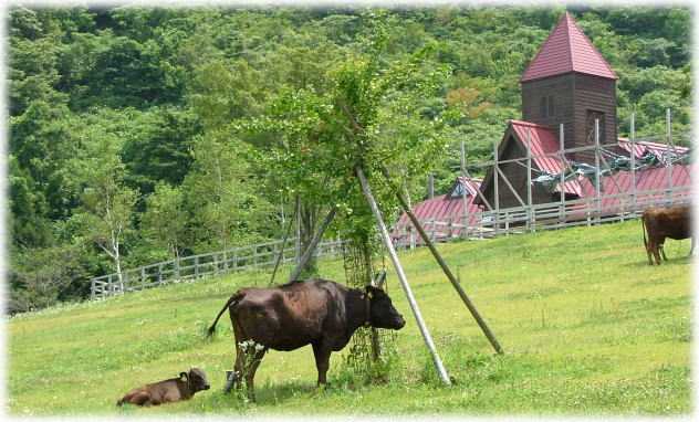 兵庫県立但馬牧場公園但馬牛博物館の画像