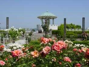 姫路市手柄山中央公園の画像