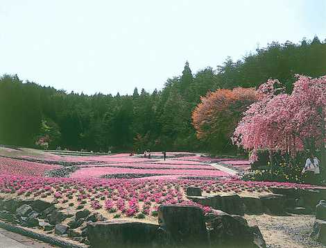 花のじゅうたん 宝塚 伊丹 川西 三田 植物園 の施設情報 いつもnavi