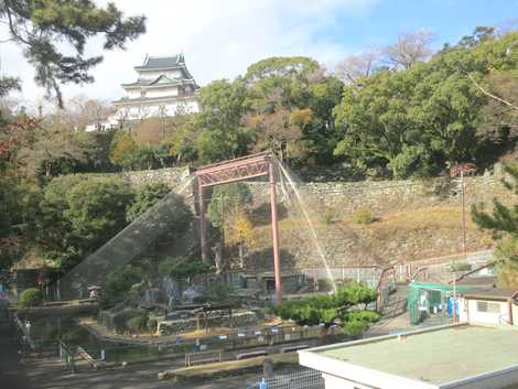 和歌山公園動物園 和歌山公園動物園の画像