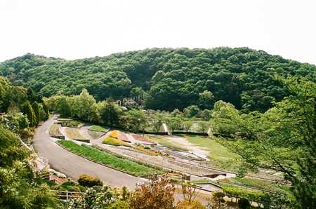 和歌山県植物公園緑花センターの画像