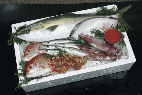 赤碕町漁協活魚鮮魚直売センターの画像