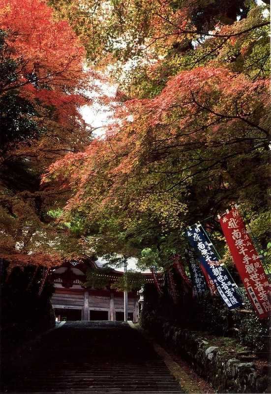 鰐淵寺の画像